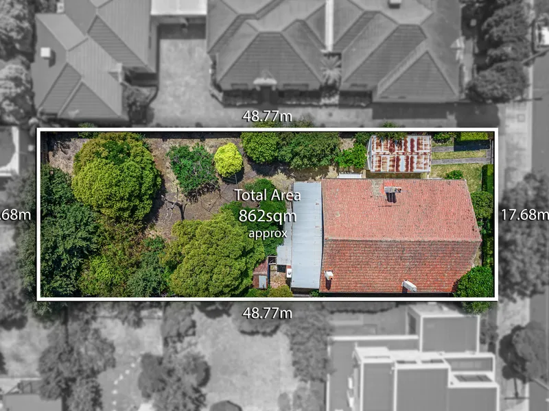 Prized McKinnon Position And Opportunity