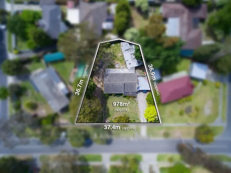 Greate Development Potential！