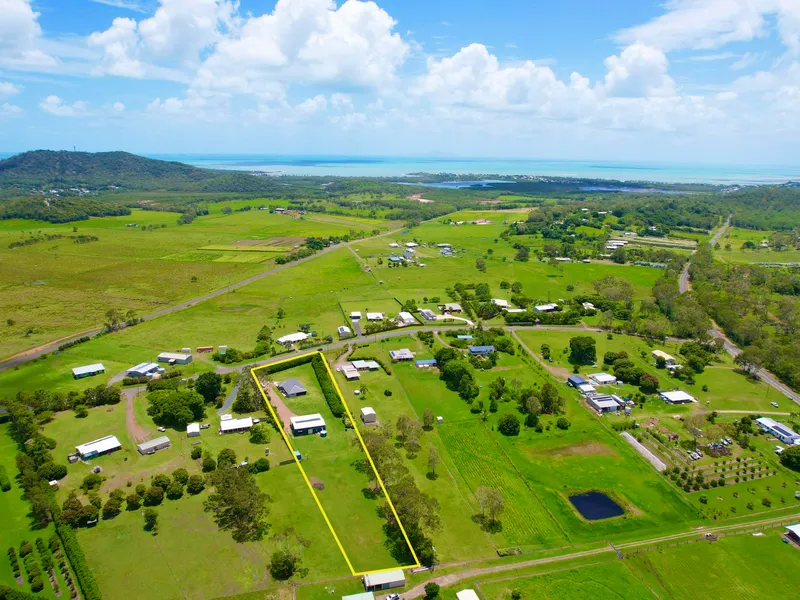 A CUT ABOVE THE REST!