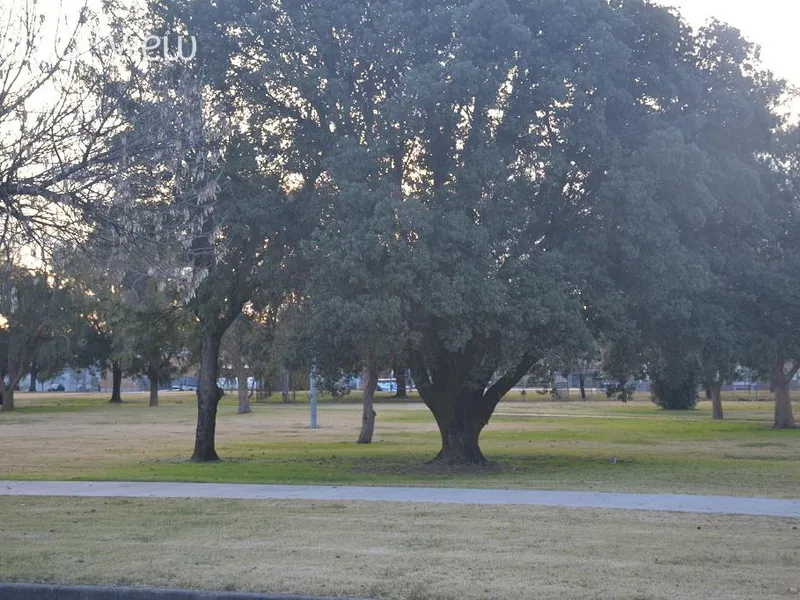 Park Views!