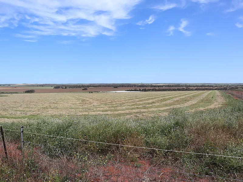 EXCELLENT ADDITION TO YOUR FARMING ASSETS