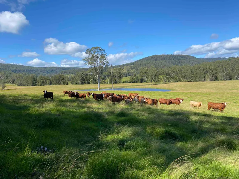 Idyllic riverfront farm with diverse incomes