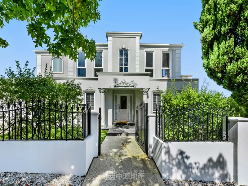 Stunning Contemporary Home in Coveted Dual School Zone