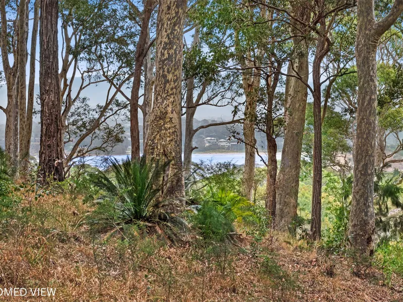 2.5 Acres with Beach Views