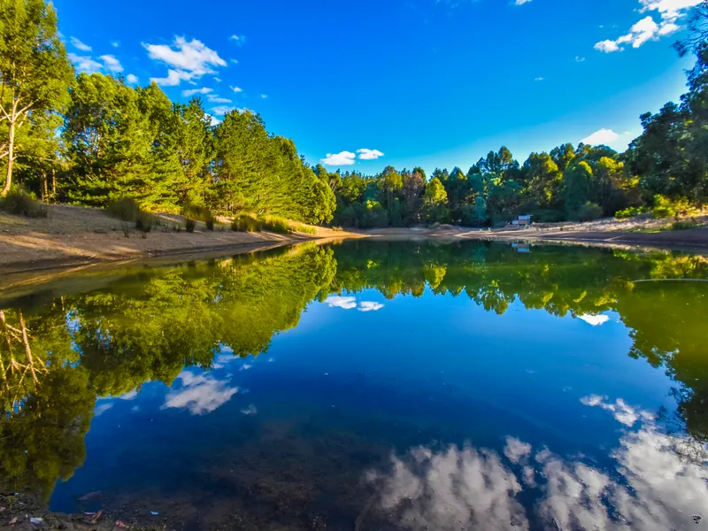 The Best of All Worlds