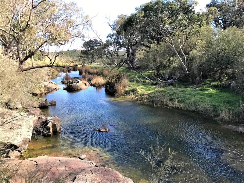 Boroowa River Front Gem