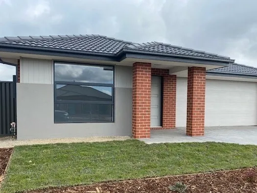 Sparkling brand new home