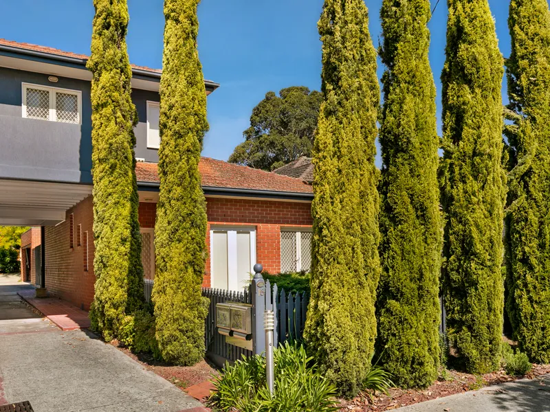 Located In The Box Hill School Zone