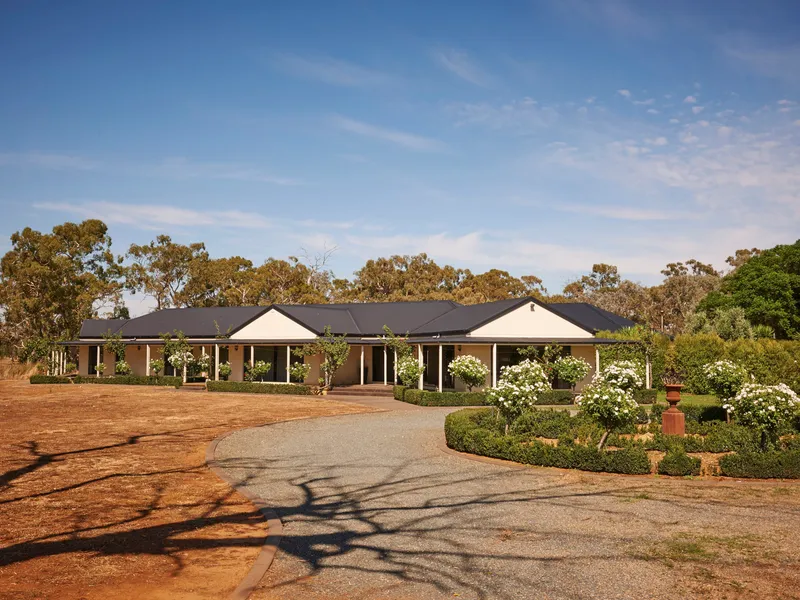 Shepparton District Olive Grove & Grazing Property