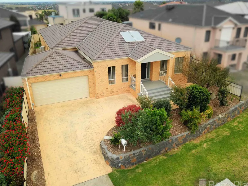 Elevated Family Entertainer.