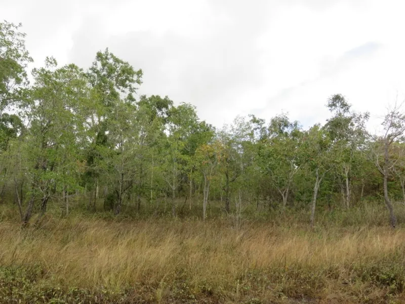 CHEAPEST 7 ACRES BY FAR IN THE AREA