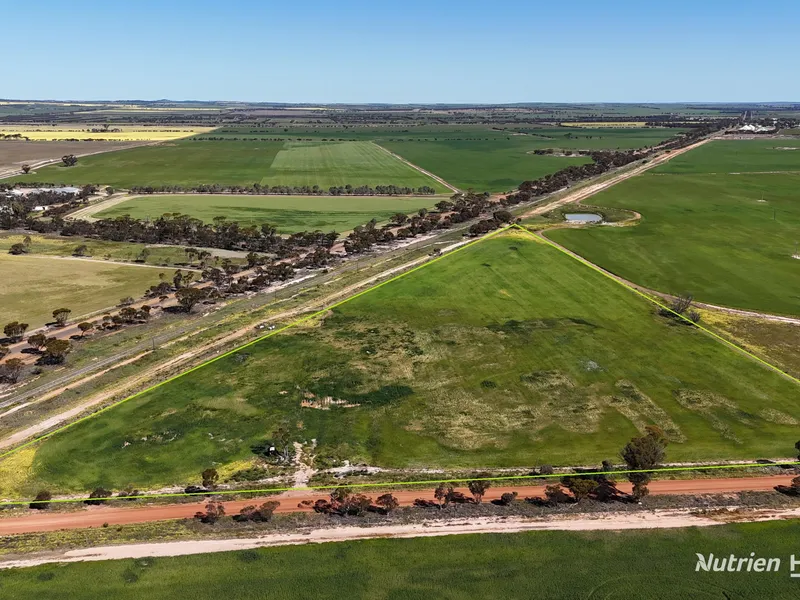 LIFESTYLE BLOCK CLOSE TO NAREMBEEN TOWN