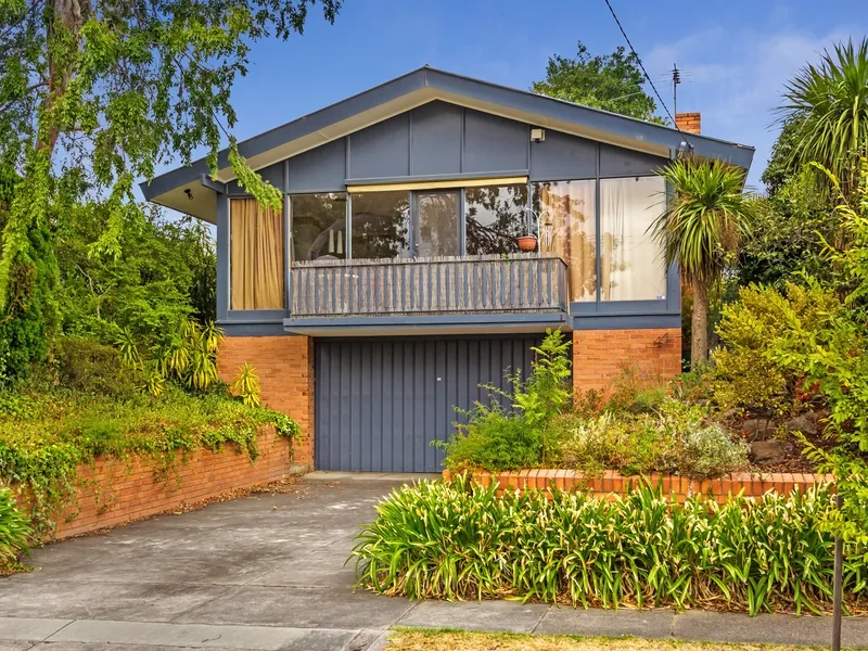 ELEVATED ALLOTMENT WITHIN THE BALWYN HIGH SCHOOL ZONE