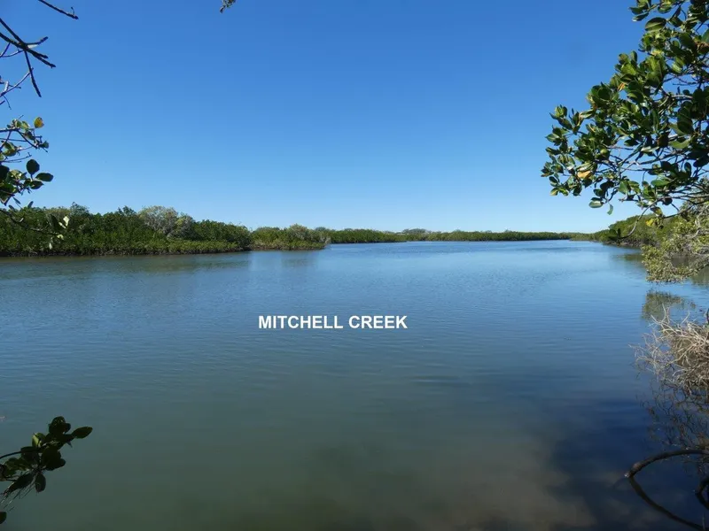 343 ACRES ON TIDAL CREEK & CONSERVATION PARK