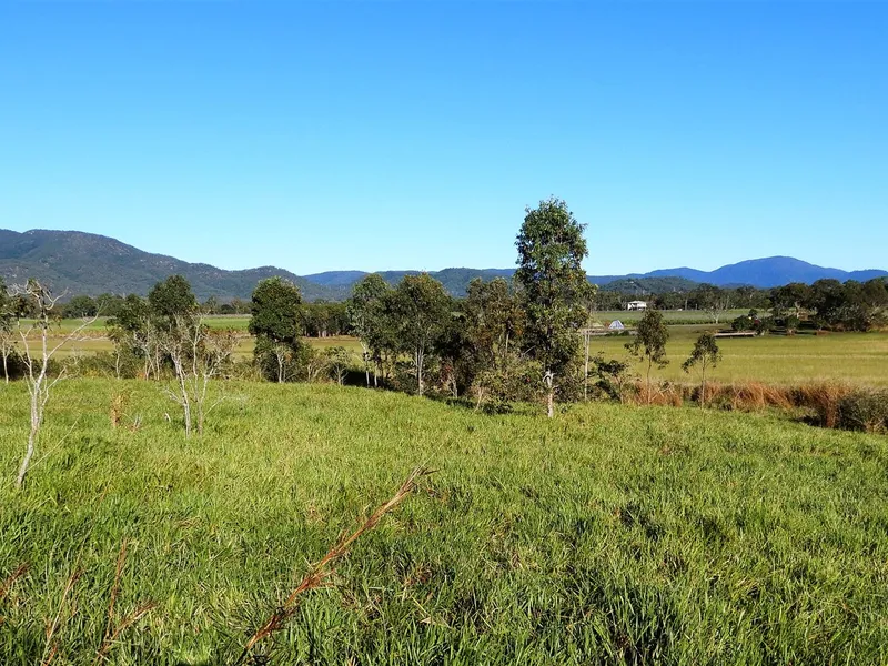 Lifestyle | Grazing | Cultivation