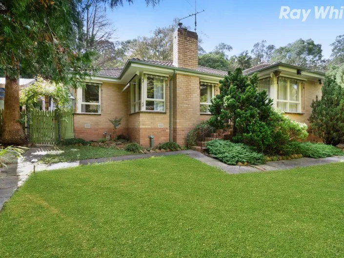 Enjoy a Relaxed Family Life in the Hills