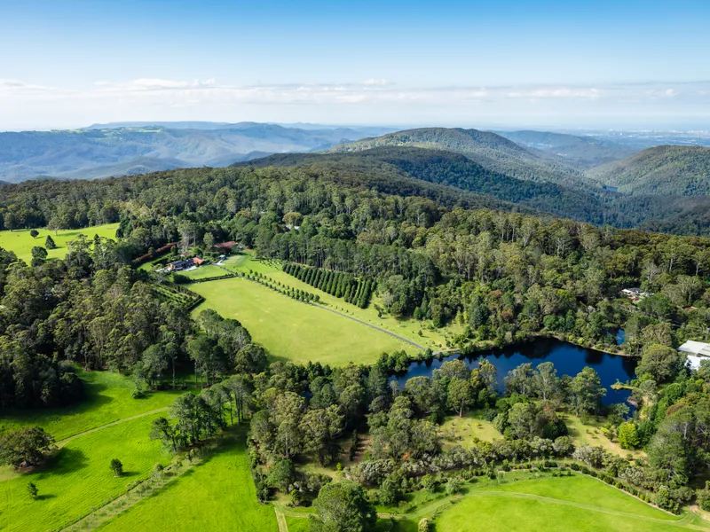 A Secluded 156* Acre Evolutionary Botanical Estate