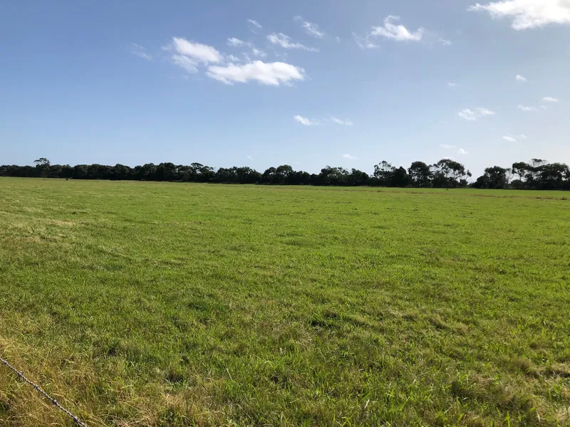 Walk to town, close to coast