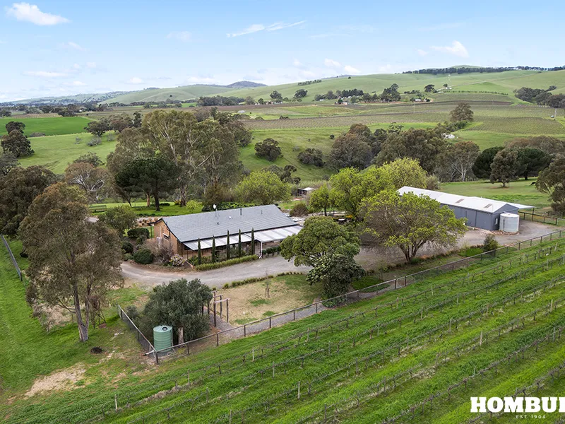 Stunning Property, Wonderful Vineyard
