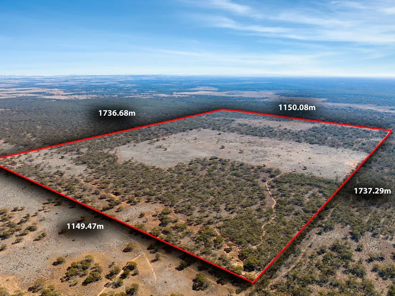 The Great Aussie Dream!