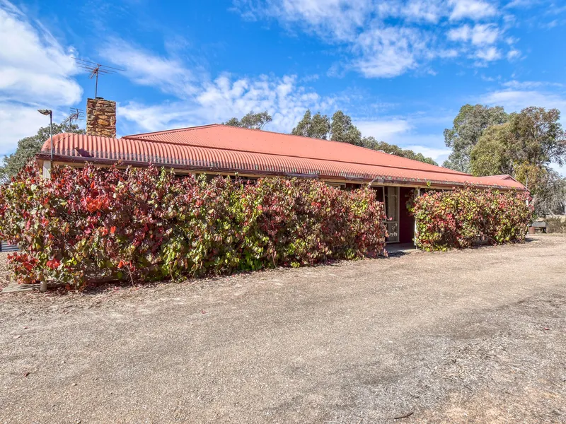 The Perfect Lifestyle (39 acre approx.) Property Only Minutes to Town