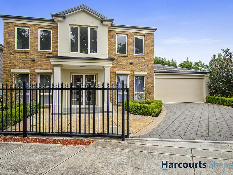 The Big Entertainer!