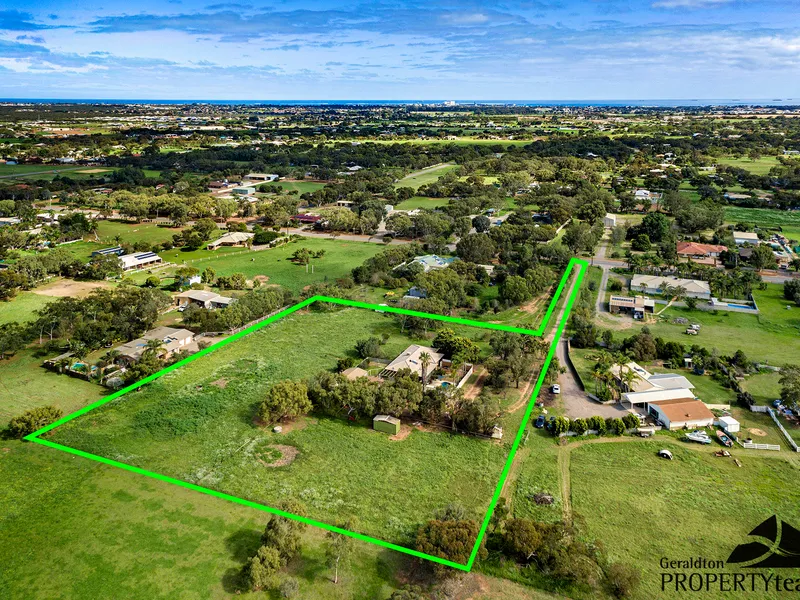 Perfect For the Horse Enthusiast 