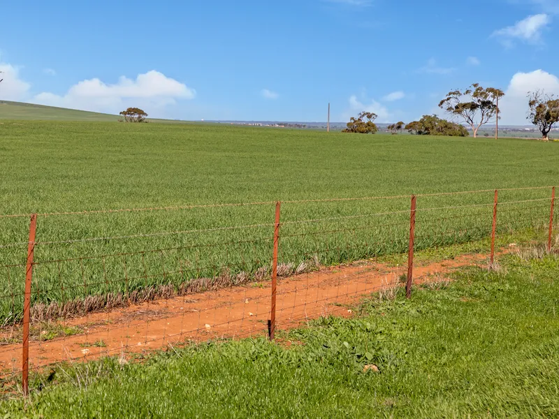 Efficient Farming Land