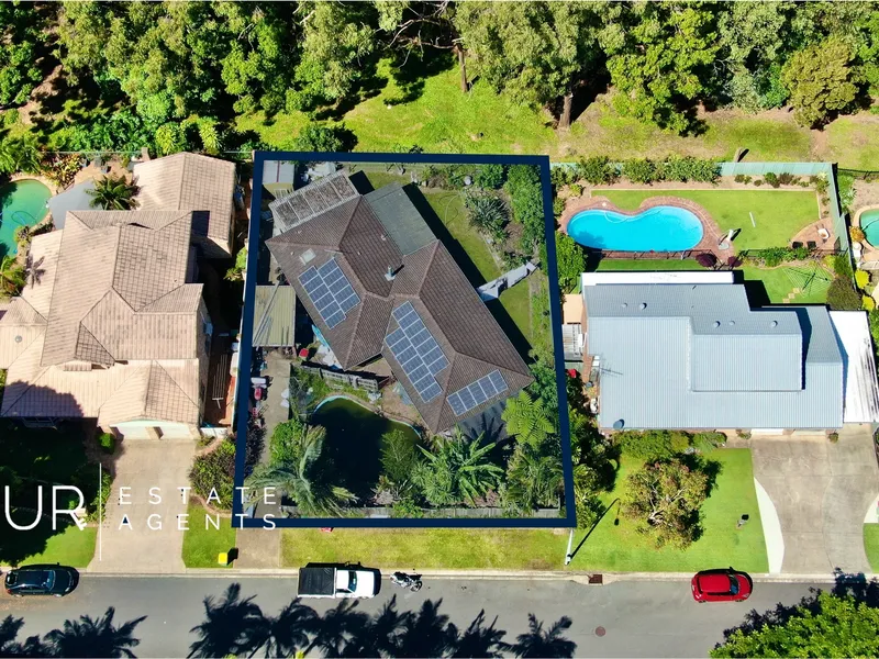 Renovate Or Detonate!