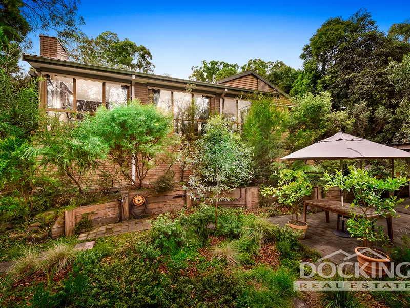 Immerse Yourself in Beautiful Bushland