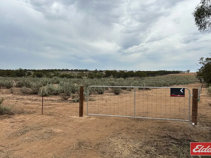 17.09 ACRES (6.92 HECTARES) IN SUTHERLANDS TOWNSHIP