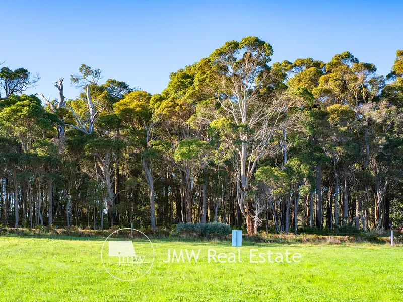 DON'T WORRY WE HAVE MORE AVALIABLE