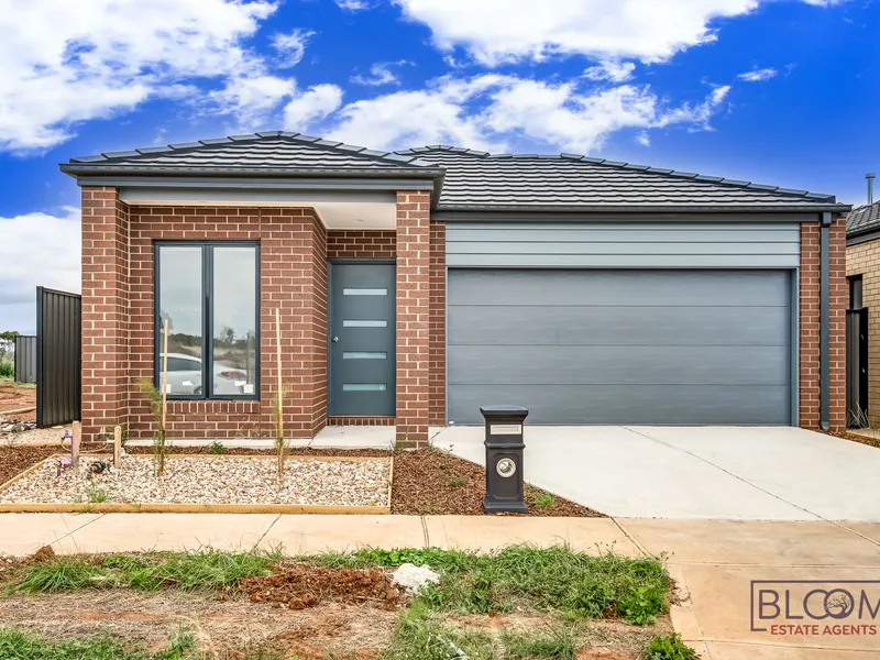 Ready to move brand new house!!