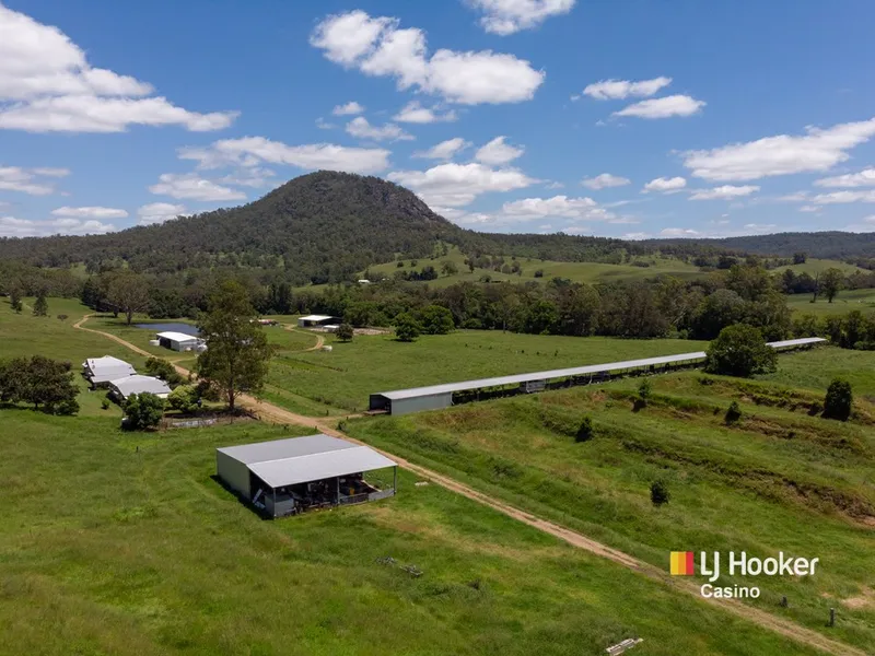 Glen Huon - A quality grazing & Plantation property with countless improvements.
