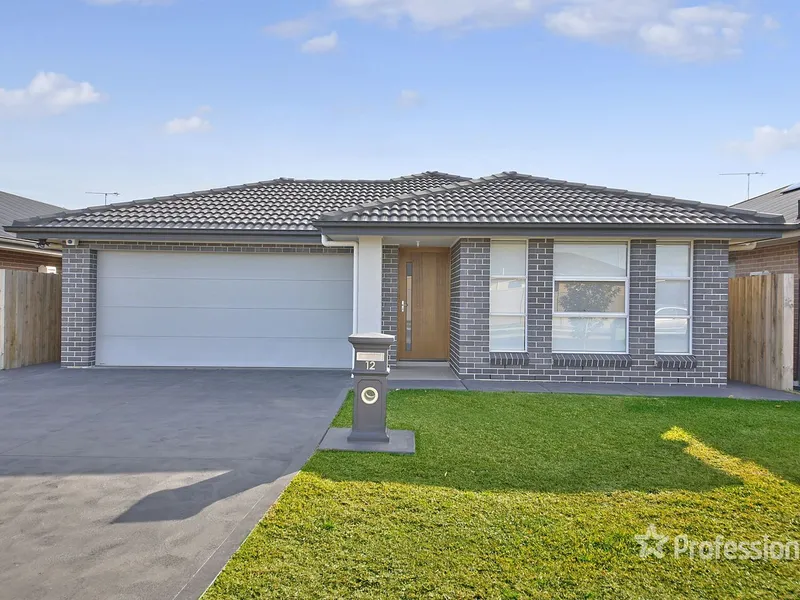 Clean, Stylish, Modern, Easy Care Yard