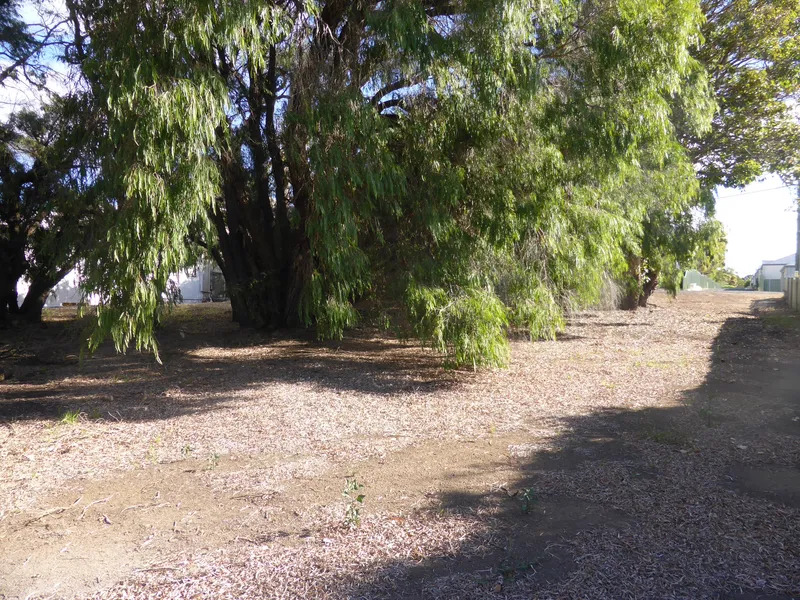 Your Block, Great Location!