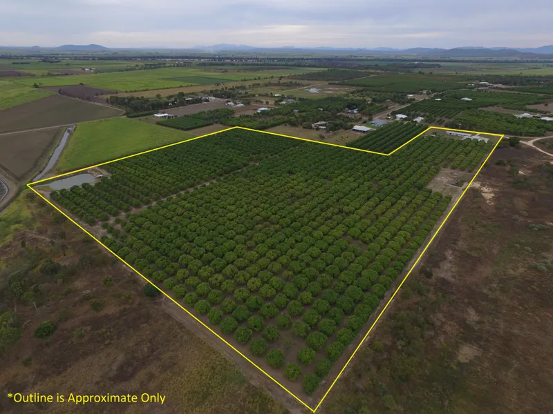 Fully Equipped Mango Orchard/ Business w/- Large family home