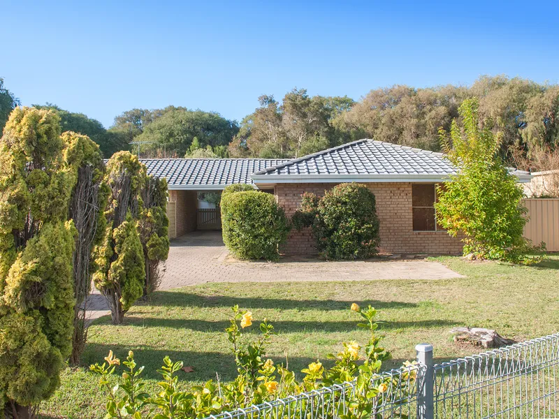 Great little starter!