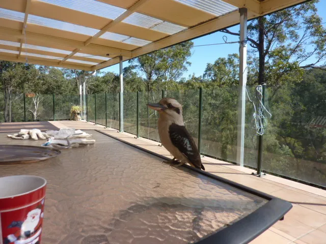 1000 SQUARE METRE HOUSE ON 10 ACRES