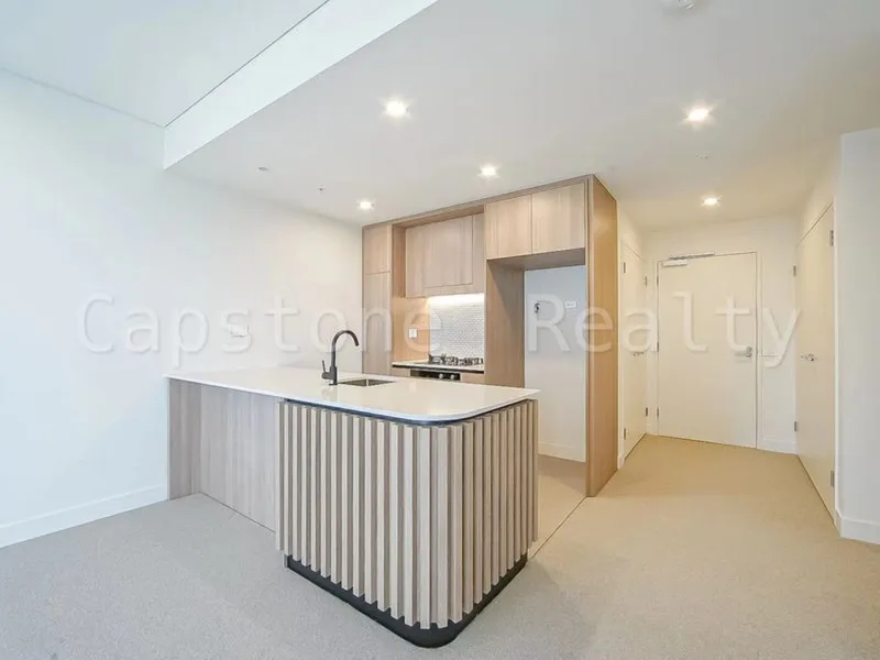 luxury one bedroom apartment for rent