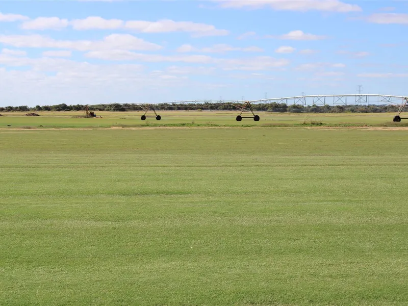 Horticulture- Investment Property with 1.8 gig Water Licence
