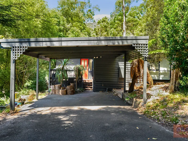 You will fall in love!