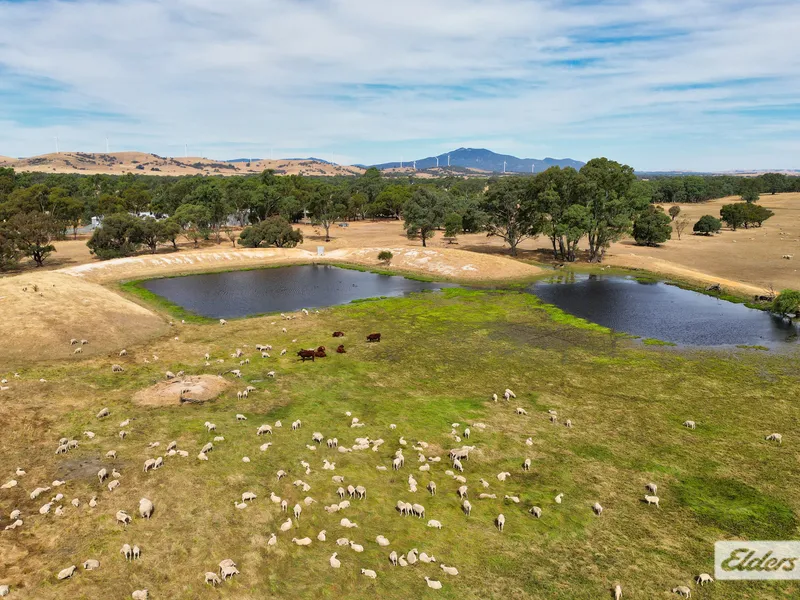 Versatile Western District Grazing