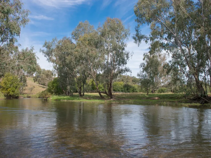 Cockatoo - approx. 289.17 ha – 714.29 acres - Brungle via Tumut – South West Slopes, NSW