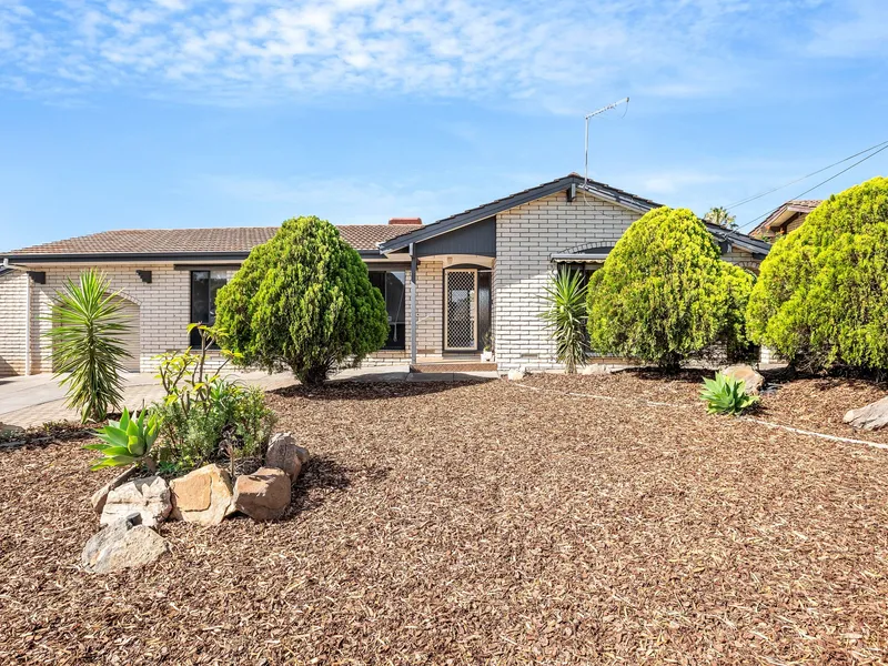 The Perfect Starter or Investment