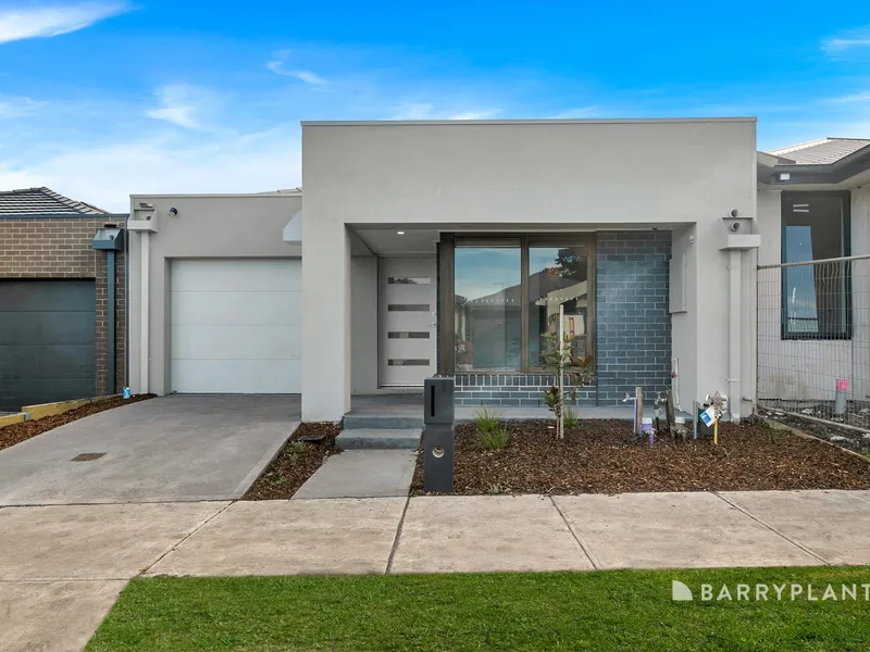 Brand New and Ready For You !!