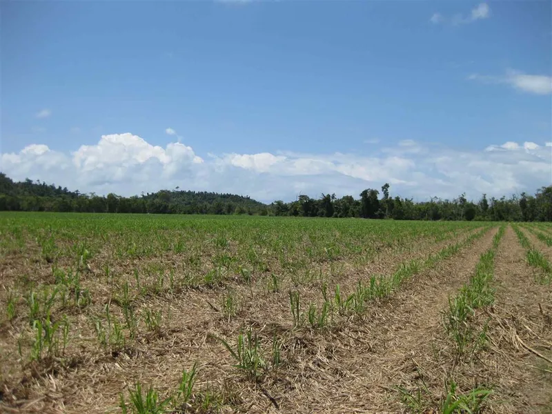 Cane farm with Aquaculture Development Permit & ponds