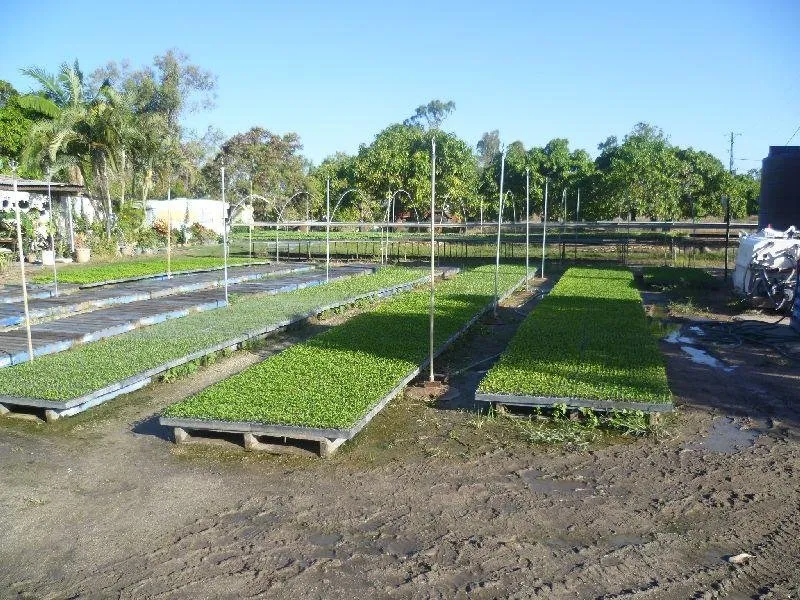 182 Acres Cropping Property with House - Sheds - Irrigation