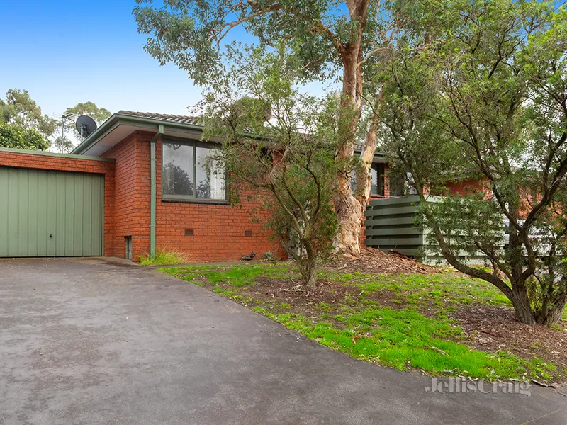 LIVING WITH ABSOLUTE CONVENIENCE