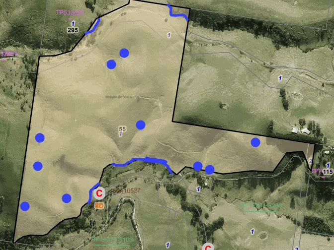 125 Acres of grazing land.